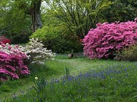 Planté il y a un siècle par le colonel Loder, un jardin boisé réputé pour ses rhododendrons, acers et jacinthes anglaises. Hauts hêtres