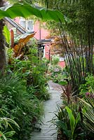 Un jardin de ville avec des parterres tropicaux de plantes à feuillage et de plantes vivaces, dont Musa, Fargesia et Cordyline.