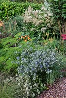 Un jardin de gravier avec des graminées et des plantes vivaces, y compris des dons d'Eryngium