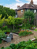 Le potager avec des fraises, des feuilles de salade et des herbes, avec du calendula comme plante compagnon pour attirer les insectes utiles.