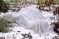Protection en hiver, toison horticole recouvrant le parterre de vivaces pendant la neige, janvier