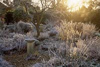 Jardin d'hiver givré avec cadran solaire et bain d'oiseaux, tiges givrées de vivaces et d'arbustes, janvier