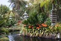 Clivia miniata autour de l'étang dans le jardin oriental de Monte Palace Tropical Garden, Madère, avec des pagodes et des lanternes japonaises