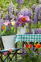Affichage de printemps extérieur. Glycine en fleurs. Cruche de tulipes et syringa. Tulipes et muscari dans des seaux.