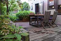 Terrasse en bois avec meubles. Sorbus cashmiriana, Hydrangea serrata 'Blue Bird', Hakonechloa macra. Jardin de Tom de Witte.