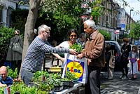 Homme achetant des plantes de décrochage communautaire dans la rue. Vente d'usine de jardiniers de Wilberforce Road, Londres