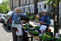 Femme discutant et achetant des plantes de décrochage communautaire dans la rue. Vente d'usine de jardiniers de Wilberforce Road, Londres