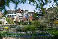 Les jardins potagers en terrasses dans la vieille ville historique de Berne, Suisse