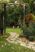 Chemin de dalle à travers une tonnelle en bois recouverte d'escalade Vitis - Vignes menant à des chaises adirondacks roses dans un jardin rustique à la fin de l'été