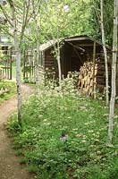Jardin de la ville avec zone boisée, chemin à travers un groupe de betula - bouleau, fleurs sauvages, tas de bois, vue sur la pelouse