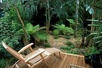 Plantation tropicale dans le jardin de Londres, Dicksonia antartica, eucalyptus, terrasse en bois et chaise longue