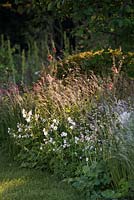 Vue de parterre de fleurs avec Geranium phaeum 'Album' et herbes ornementales Briza media, Deschampsia flexuosa, Deschampsia caespitosa. Le jardin de Cloudy Bay et Bord na Mona, Chelsea Flower Show 2015