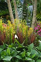 Dendrobium Ong-angaiboon - Orchid - avec Cordyline fruticosa et Spathyphyllum dans The Hidden Beauty of Kranji par Esmond Landscape et Uniseal. RHS Chelsea Flower Show 2015
