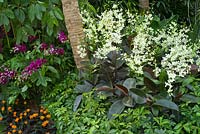 Orchidées et autres plantes tendres dans The Hidden Beauty of Kranji par Esmond Landscape et Uniseal. RHS Chelsea Flower Show, 2015