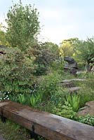 Le jardin Laurent-Perrier Chatsworth. Promenade en bois, rochers, Enkianthus campanulatus avec Rosa rubiginosa et Dipsacus fullonum