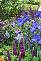 Le jardin Morgan Stanley Healthy Cities. Vue d'ensemble du parterre de fleurs planté d'iris et de lupins.