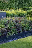 The Telegraph Garden - plantation de Paeonia 'Buckeye Belle', Paeonia 'Inspecteur Lavergne', Doronicum x excelsum 'Harpur Crewe' et Euphorbia polychroma, Papaver - pavot, pavot à eau