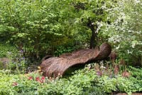 Siège en saule tissé dans une clairière boisée tranquille. Jardin du cancer du sein Haven. RHS Chelsea Flower Show, 2015