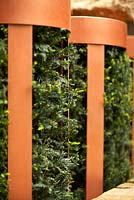 Structures métalliques cylindriques avec Taxus baccata. Brewers Yard par Welcome to Yorkshire. RHS Chelsea Flower Show 2015