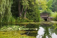 Passerelle en bois brun sur étang avec Chlorophyta - algues vertes et fleurs blanches de Nymphaea alba en été, jardin public du Centre de la Nature, Saint-Vincent-de-Paul, Laval, Québec, Canada