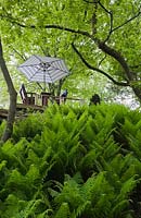 Vue d'une balançoire 2 places avec un parasol à travers une forêt de fougères et d'arbres à feuilles caduques dans un jardin paysager au printemps, Québec, Canada.
