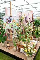 Collection nationale de Sir Cedric Morris Irises conçue par Sarah Cook en collaboration avec Howard Nurseries. Afficher dans le Grand Marquee. Gagnant de la médaille d'or. RHS Chelsea Flower Show 2015
