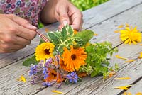 Femme créant un bouquet floral de Calendula officinalis 'Art Shades', sauge et bourrache