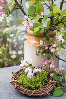 Oeufs de caille assis sur de la mousse dans une couronne de saule tressé, accompagnés d'un pot de feuillage printanier en fleurs