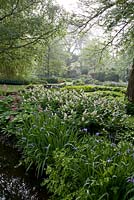 Maianthemum racemosa, Iris versicolor et Rodgersia pinnata à la lumière du petit matin. Voir à Longstock Park Water Gardens en mai, Hampshire.