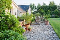 Terrasse avec table et chaises entourée de pots plantés d'abricot et de brugmansia