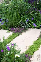 Lacunes dans le pavage remplies de Chamaemelum nobile - Le bien-être du jardin de la femme, RHS Hampton Court Palace Flower Show 2015 - Conception: Wendy von Buren, Claire Moreno, Amy Robertson