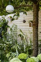 Paysages vivants 'City Twitchers' - vue montrant une plantation mixte de blanc, de pruniers et de nichoirs - RHS Hampton Court Flower Show 2015