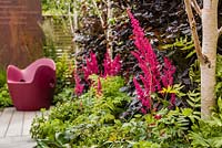 Foundations for Growth Garden - vue montrant un parterre de fleurs ombragé, y compris Astilbe x arendsii 'Fanal' et Betula utilis var. jacquemontii - RHS Hampton Court Flower Show 2015