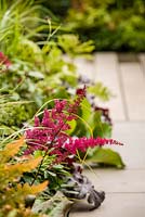 Foundations for Growth Garden - vue montrant un parterre de fleurs ombragé, y compris Astilbe x arendsii 'Fanal' - RHS Hampton Court Flower Show 2015