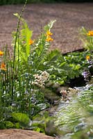 Vestra Wealth: Encore-A Music Lover's Garden. Ruisseau artificiel avec Equisetum Japonicum et fougère.