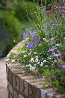 Parterre de fleurs surélevé avec géranium 'Rozanne', Verbena bonariensis et Erigeron karvinskianus - Squire's Garden Centres: Urban Oasis garden, Hampton Court Flower Show 2015