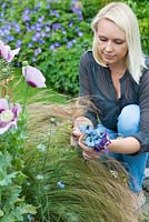 Jardin potager posie étape par étape en juin: Couper Nigella damascens, love-in-the-mist, une annuelle qui dure bien comme une fleur coupée.