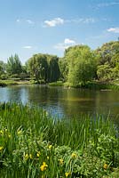 Regents Park. Étangs paysagers dans le célèbre parc de Londres.