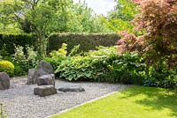 Jardin de style japonais avec des rochers en gravier, une haie, une pelouse et Hosta 'Sagae', Acer palmatum, Philadelphus coronarius 'Variegata', Viburnum plicatum 'Mariesii'