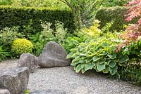 Jardin de style japonais avec rochers en granit, une haie et Hosta 'Sagae', Acer palmatum, Philadelphus coronarius 'Variegata', Viburnum plicatum 'Mariesii'