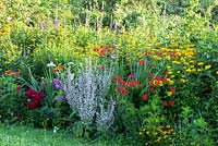 Parterre de fleurs dans un jardin d'agriculteur, Alcea, Crocosmia, Heliopsis helianthoides, Phlox paniculata, Rosa, Tagetes