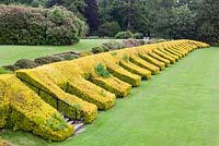 Gregynog, Montgomeryshire, Pays de Galles. Jardin classé CADW Grade I conçu par le paysagiste du 18e siècle William Emes. Haies coupées de Taxus baccata 'Groupe Aurea '. Juillet