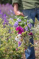 Patrick Cadman tenant un bouquet de fleurs coupées. Dahlia, Larkspur, Cosmos, Nicotiana