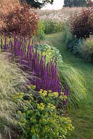 Chemin de l'herbe incurvée à travers la Salvia nemerosa 'Caradonna', Stipa gigantea, Stipa tenuissima, Euphorbia oblongata et Physocarpus menant à une prairie de fleurs sauvages. Follers Manor, Sussex. Conçu par: Ian Kitson