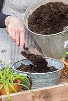 Planter un pot d'avril. Étape 2: remplissez le bol aux trois quarts de compost.