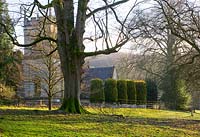 Woodland et l'église de Colesbourne Park, Gloucestershire