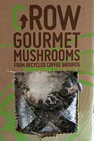 Champignons - Cultiver des champignons gastronomiques à partir d'un kit pré-acheté