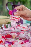 Ajouter des pétales de rose dans un bol d'eau pour être nettoyé