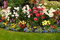 Parterre de fleurs mélangées d'été coloré avec Crocosmia Dahlia, Phlox, Calendula et Leucanthemum Manvers Street, Derbyshire NGS, août