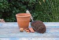 Ingrédients nécessaires à la plantation d'une noix anglaise - Juglans regia
